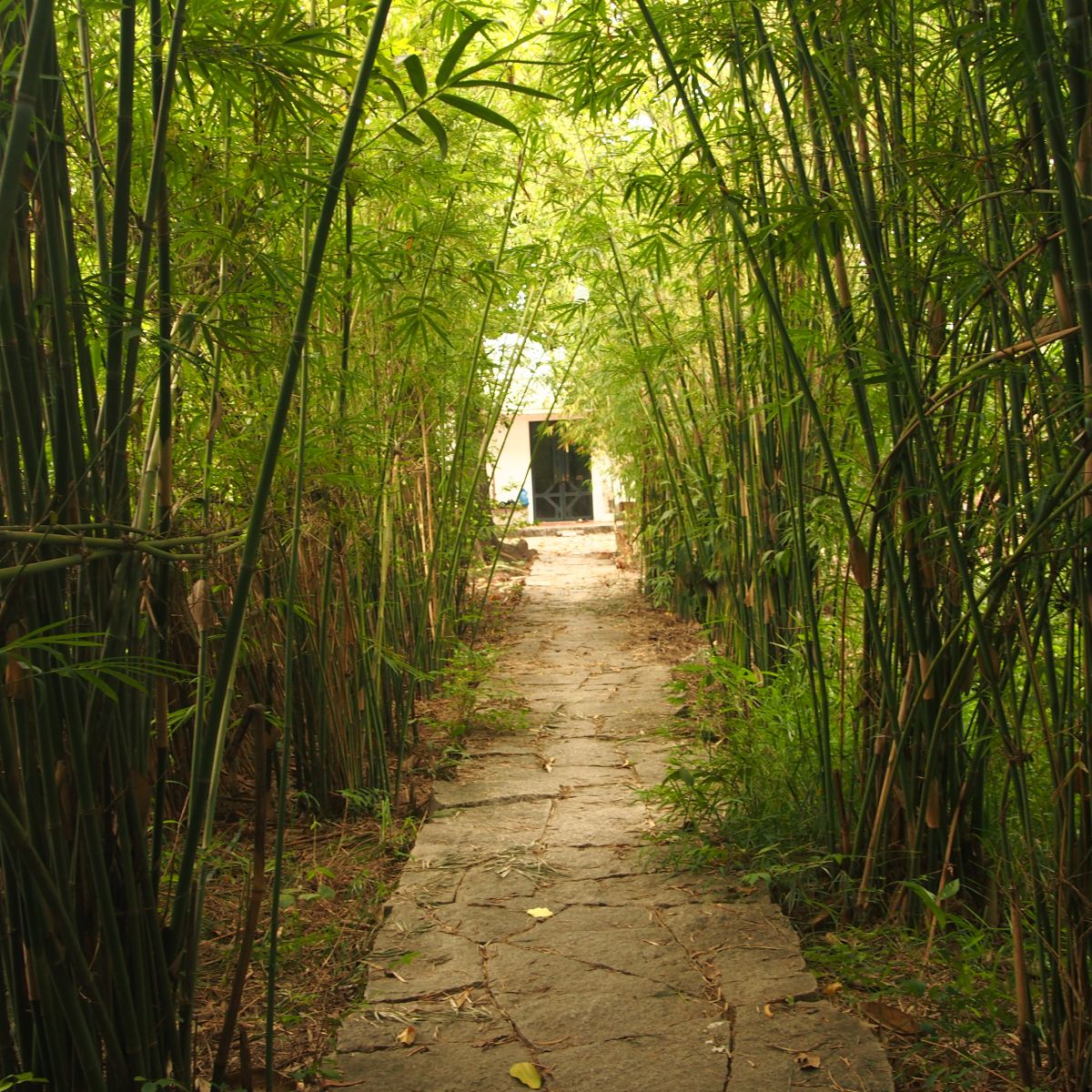 Sáng tạo, sáng tạo, đó là chứng chỉ duy nhất của tài năng!